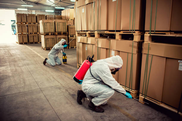 Trusted Four Square Mile, CO Pest Control Experts
